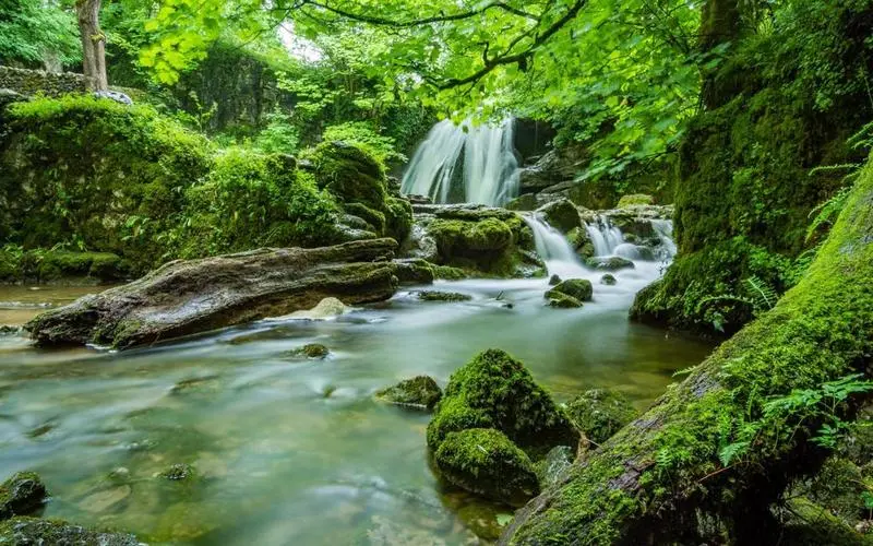 高端高效高效